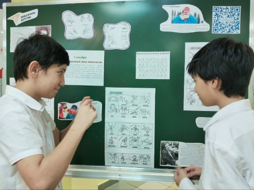 �����������