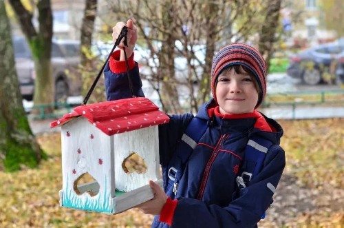 �����������