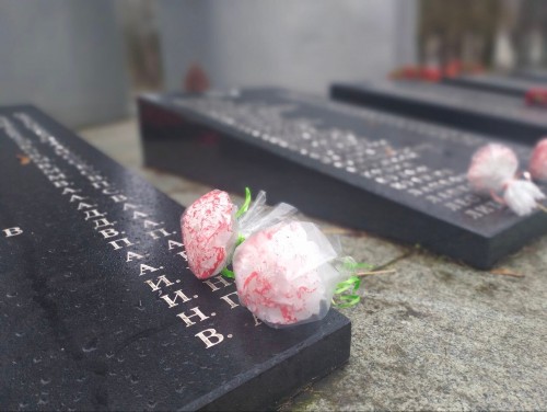 �����������