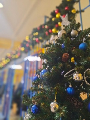 �����������