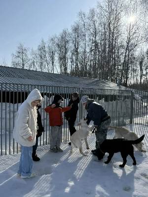 �����������